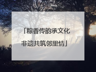 粽香传韵承文化 非遗共筑邻里情