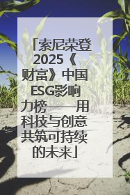 索尼荣登2025《财富》中国ESG影响力榜——用科技与创意共筑可持续的未来