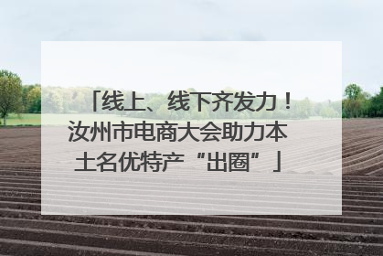 线上、线下齐发力！汝州市电商大会助力本土名优特产“出圈”