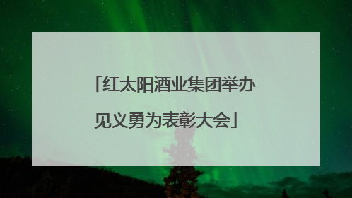 红太阳酒业集团举办见义勇为表彰大会