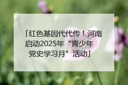 红色基因代代传！河南启动2025年“青少年党史学习月”活动