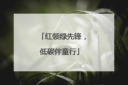 红领绿先锋，低碳伴童行