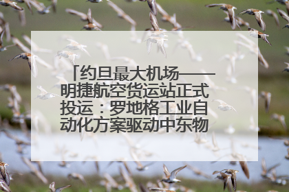 约旦最大机场——明捷航空货运站正式投运：罗地格工业自动化方案驱动中东物流未来新航向