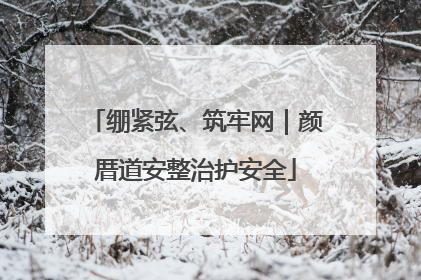绷紧弦、筑牢网｜颜厝道安整治护安全