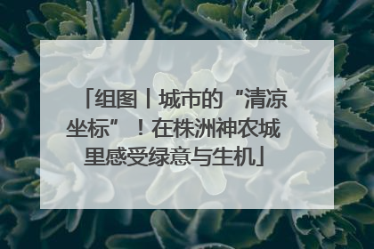 组图丨城市的“清凉坐标”！在株洲神农城里感受绿意与生机
