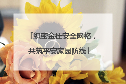 织密金桂安全网格，共筑平安家园防线