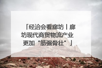 经洽会看廊坊丨廊坊现代商贸物流产业更加“筋强骨壮”