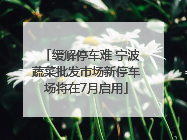 缓解停车难 宁波蔬菜批发市场新停车场将在7月启用