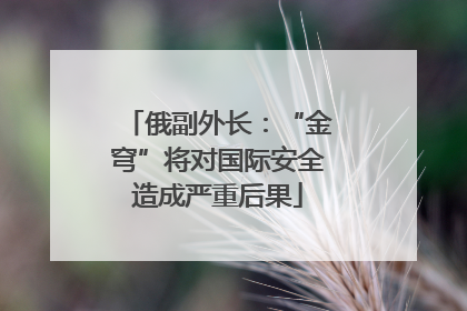 俄副外长：“金穹”将对国际安全造成严重后果