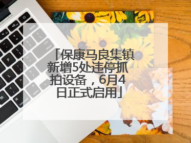 保康马良集镇新增5处违停抓拍设备，6月4日正式启用