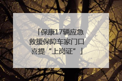 保康17辆应急救援保障车家门口喜提“上岗证”