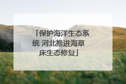 保护海洋生态系统 河北推进海草床生态修复