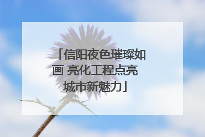 信阳夜色璀璨如画 亮化工程点亮城市新魅力
