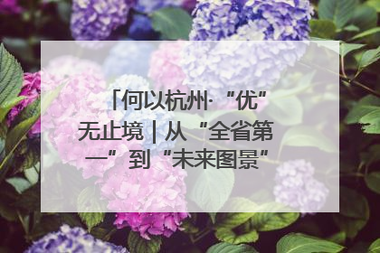 何以杭州·“优”无止境｜从“全省第一”到“未来图景” 余杭加速航行