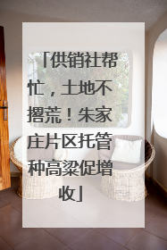 供销社帮忙，土地不撂荒！朱家庄片区托管种高粱促增收