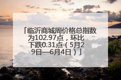 临沂商城周价格总指数为102.97点，环比下跌0.31点（5月29日—6月4日）