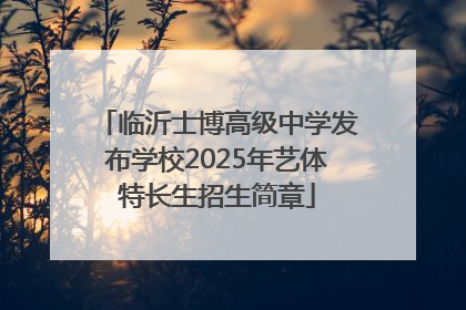 临沂士博高级中学发布学校2025年艺体特长生招生简章