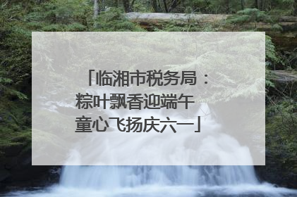 临湘市税务局：粽叶飘香迎端午 童心飞扬庆六一