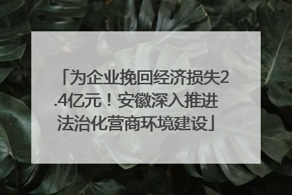 为企业挽回经济损失2.4亿元！安徽深入推进法治化营商环境建设