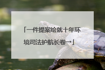 一件提案绘就十年环境司法护航长卷→
