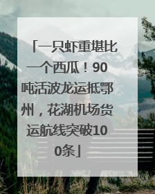 一只虾重堪比一个西瓜！90吨活波龙运抵鄂州，花湖机场货运航线突破100条