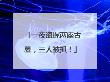 一夜盗掘两座古墓，三人被抓！