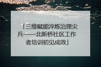 三维赋能淬炼治理尖兵——北新桥社区工作者培训初见成效