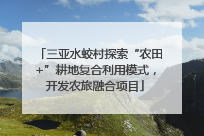 三亚水蛟村探索“农田+”耕地复合利用模式，开发农旅融合项目