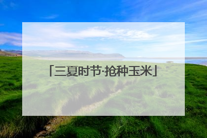 三夏时节·抢种玉米