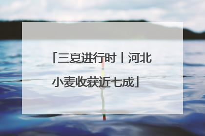三夏进行时丨河北小麦收获近七成