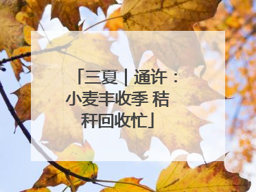 三夏｜通许：小麦丰收季 秸秆回收忙
