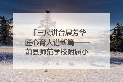 三尺讲台展芳华 匠心育人谱新篇——萧县师范学校附属小学第十三届班主任基本功大赛圆满举办