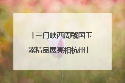三门峡西周虢国玉器精品展亮相杭州