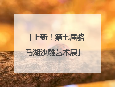 上新！第七届骆马湖沙雕艺术展