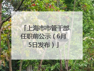 上海市市管干部任职前公示（6月5日发布）