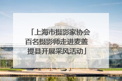 上海市摄影家协会百名摄影师走进麦盖提县开展采风活动