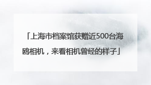 上海市档案馆获赠近500台海鸥相机，来看相机曾经的样子