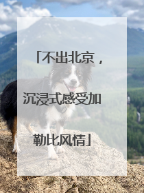 不出北京，沉浸式感受加勒比风情