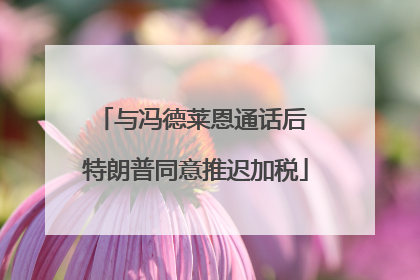 与冯德莱恩通话后 特朗普同意推迟加税