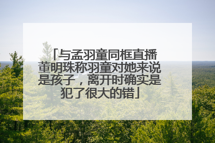 与孟羽童同框直播 董明珠称羽童对她来说是孩子，离开时确实是犯了很大的错