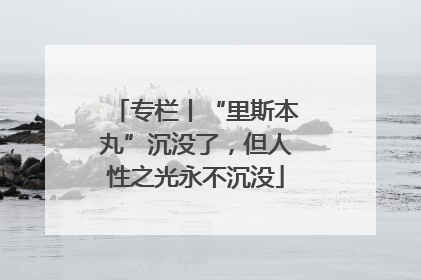 专栏丨“里斯本丸”沉没了，但人性之光永不沉没