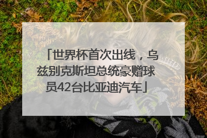 世界杯首次出线，乌兹别克斯坦总统豪赠球员42台比亚迪汽车