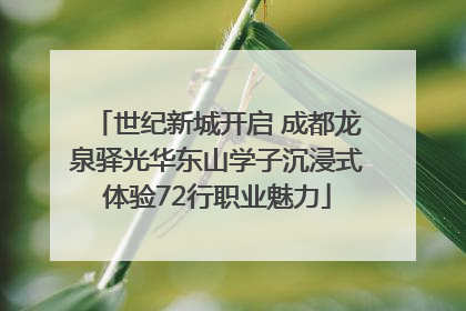 世纪新城开启 成都龙泉驿光华东山学子沉浸式体验72行职业魅力