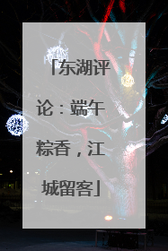 东湖评论：端午粽香，江城留客