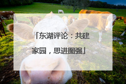 东湖评论：共建家园，思进图强