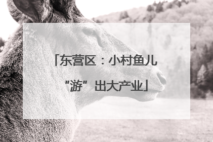 东营区：小村鱼儿“游”出大产业