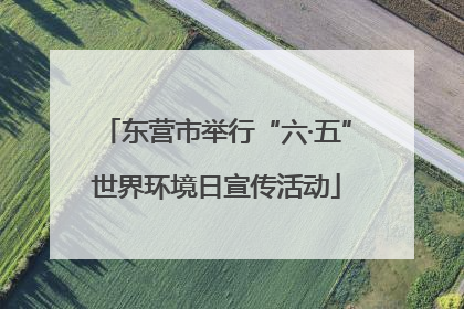 东营市举行“六·五”世界环境日宣传活动