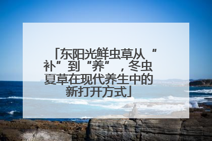 东阳光鲜虫草从“补”到“养”，冬虫夏草在现代养生中的新打开方式