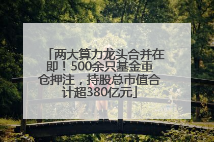 两大算力龙头合并在即！500余只基金重仓押注，持股总市值合计超380亿元