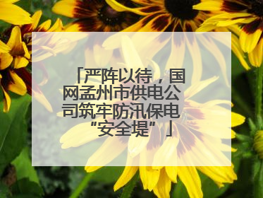严阵以待，国网孟州市供电公司筑牢防汛保电“安全堤”